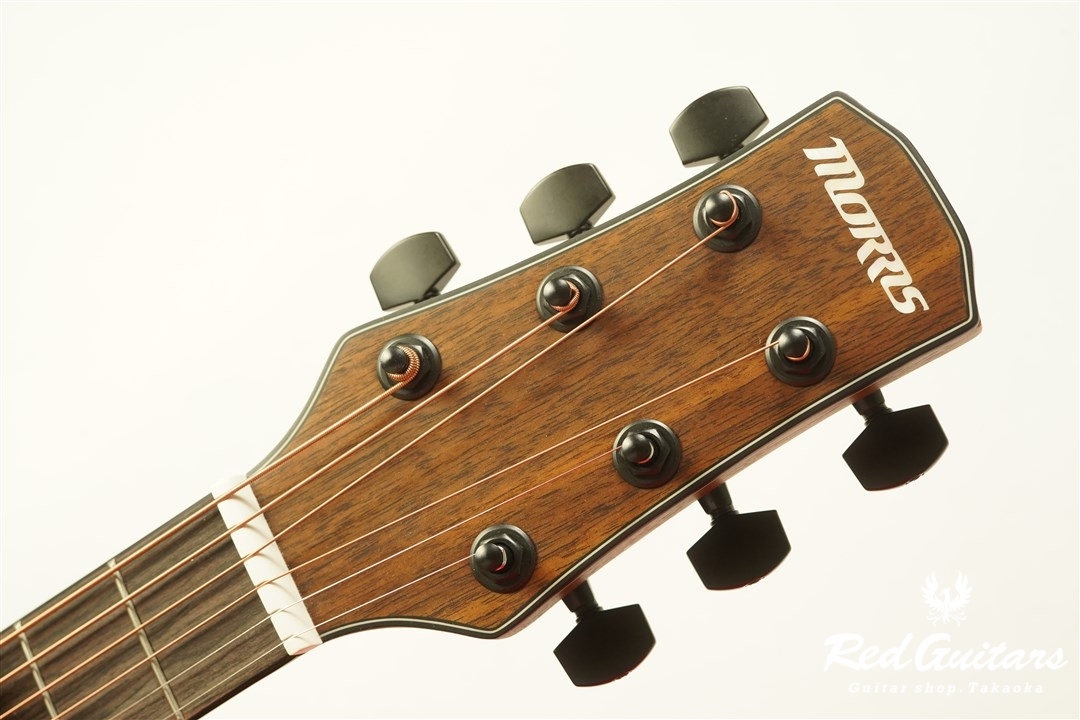 Morris F-021 - VS | Red Guitars Online Store